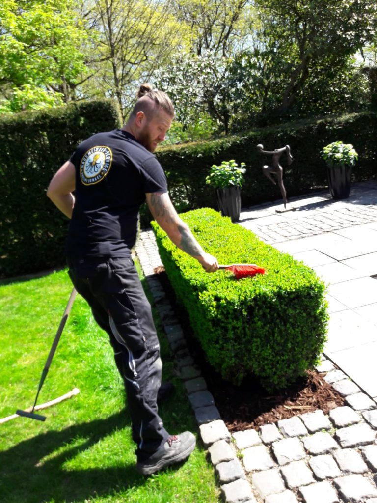 Gartenarbeiten Hausmeisterservice Dunkel